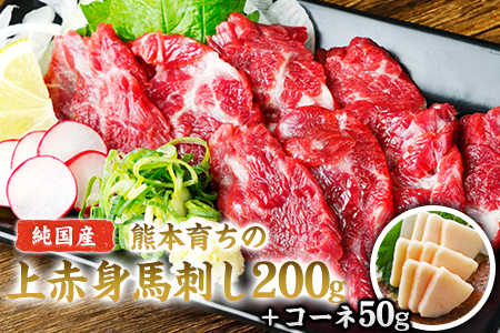上赤身馬刺し200g(100g×2ブロック)+コーネ50g【純国産熊本肥育】《1月中旬-2月末頃より順次出荷》