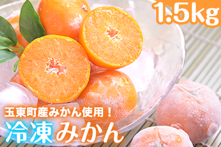 冷凍みかん 1.5kg《1-5営業日以内に出荷予定(土日祝日除く)》玉東町産みかん使用 みかん 冷凍 フルーツ 果物 お中元 贈答 ギフト