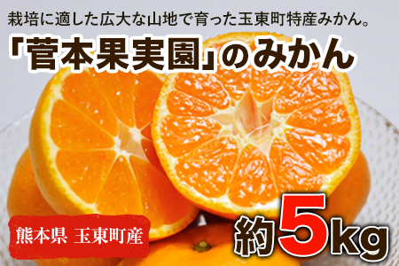 『菅本果実園』のみかん★約5kg(2S-Lサイズ)《10月中旬-12月末頃出荷》 予約受付中 フルーツ 秋 旬★熊本県玉名郡玉東町 全国にファン多数！エコファーマー菅本さんのみかん♪『菅本果実園』｜みかん柑橘みかん柑橘みかん柑橘みかん柑橘みかん柑橘みかん柑橘みかん柑橘みかん柑橘みかん柑橘みかん柑橘みかん柑橘みかん柑橘みかん柑橘みかん柑橘みかん柑橘みかん柑橘みかん柑橘みかん柑橘みかん柑橘みかん柑橘みかん柑橘みかん柑橘みかん柑橘みかん柑橘みかん柑橘みかん柑橘みかん柑橘みかん柑橘みかん柑橘みかん柑橘みかん柑橘みかん柑橘みかん柑橘みかん柑橘みかん柑橘みかん柑橘みかん柑橘みかん柑橘みかん柑橘みかん柑橘みかん柑橘みかん柑橘みかん柑橘みかん柑橘みかん柑橘みかん柑橘みかん柑橘みかん柑橘みかん柑橘みかん柑橘みかん柑橘みかん柑橘みかん柑橘みかん柑橘みかん柑橘みかん柑橘みかん柑橘みかん柑橘みかん柑橘みかん柑橘みかん柑橘みかん柑橘みかん柑橘みかん柑橘みかん柑橘みかん柑橘みかん柑橘みかん柑橘みかん柑橘みかん柑橘みかん柑橘みかん柑橘みかん柑橘みかん柑橘みかん柑橘みかん柑橘みかん柑橘みかん柑橘みかん柑橘みかん柑橘みかん柑橘みかん柑橘みかん柑橘みかん柑橘みかん柑橘みかん柑橘みかん柑橘みかん柑橘みかん柑橘みかん柑橘みかん柑橘みかん柑橘みかん柑橘みかん柑橘みかん柑橘みかん柑橘みかん柑橘みかん柑橘みかん柑橘みかん柑橘みかん柑橘みかん柑橘みかん柑橘みかん柑橘みかん柑橘みかん柑橘みかん柑橘みかん柑橘みかん柑橘みかん柑橘みかん柑橘みかん柑橘みかん柑橘みかん柑橘みかん柑橘みかん柑橘みかん柑橘みかん柑橘みかん柑橘みかん柑橘みかん柑橘みかん柑橘みかん柑橘みかん柑橘みかん柑橘みかん柑橘みかん柑橘みかん柑橘みかん柑橘みかん柑橘みかん柑橘みかん柑橘みかん柑橘みかん柑橘みかん柑橘みかん柑橘みかん柑橘みかん柑橘みかん柑橘みかん柑橘みかん柑橘みかん柑橘みかん柑橘みかん柑橘みかん柑橘みかん柑橘みかん柑橘みかん柑橘みかん柑橘みかん柑橘みかん柑橘みかん柑橘みかん柑橘みかん柑橘みかん柑橘みかん柑橘みかん柑橘みかん柑橘みかん柑橘みかん柑橘みかん