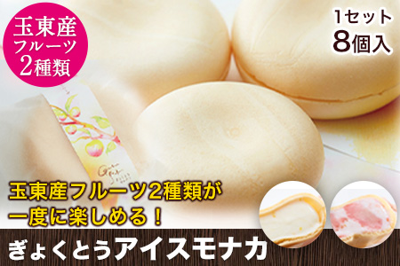 幻のスモモ【ハニーローザ】使用アイスモナカセット8個入《60日以内に出荷予定(土日祝除く)》熊本県玉名郡玉東町 すもも ぷらっとぎょくとう