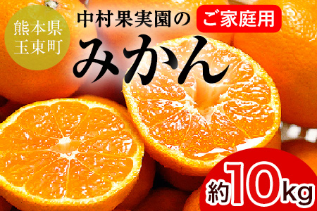 お徳用『中村果実園』のお徳用みかん★大容量 約10kg(2S-Lサイズ)《10月下旬-12月末頃より順次出荷(土日祝除く)》予約受付中 フルーツ 秋 旬★熊本県玉名郡玉東町 エコファーマー認定農家のおいしいみかん♪『中村果実園』ちょこっと訳あり