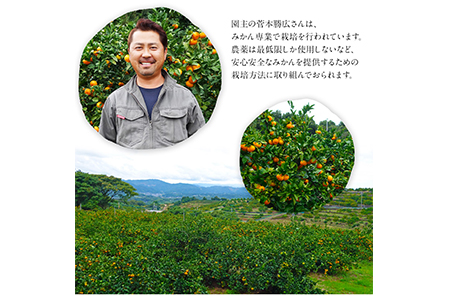 ご家庭用『菅本果実園』のご家庭用みかん★約5kg(2S-2Lサイズ)《11月中旬-12月末頃出荷》 予約受付中 フルーツ 秋 旬★熊本県玉名郡玉東町 全国にファン多数！エコファーマー菅本さんのみかん♪『菅本果実園』ちょこっと訳あり