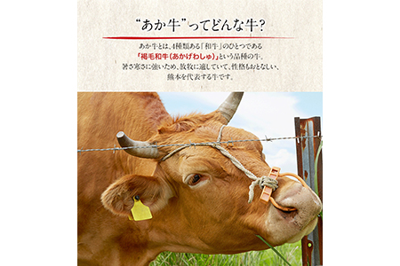 あか牛 ハンバーグ 150g 10個入り 2月中旬 3月末頃より順次出荷 玉屋商店 牛肉 数量限定 熊本あか牛 赤牛 あかうし 熊本県玉東町 ふるさと納税サイト ふるなび