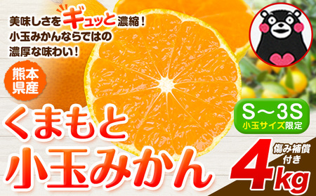 最短7日発送！ 訳あり みかん 小玉みかん くまもと小玉みかん 4kg  秋 旬 不揃い 傷 ご家庭用 SDGs 小玉 たっぷり 熊本県 産 S-3Sサイズ フルーツ 旬 柑橘 熊本県産 温州みかん《7-14日以内に出荷予定(土日祝除く)》 早く届く