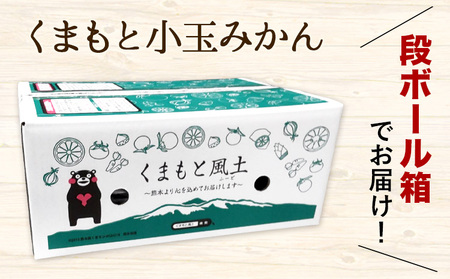 最短7日発送！ 訳あり みかん 小玉みかん くまもと小玉みかん 4kg  秋 旬 不揃い 傷 ご家庭用 SDGs 小玉 たっぷり 熊本県 産 S-3Sサイズ フルーツ 旬 柑橘 熊本県産 温州みかん《7-14日以内に出荷予定(土日祝除く)》 早く届く