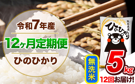 【12ヶ月定期便】 令和7年産 定期便 無洗米 ひのひかり 5kg 《お申込み翌月から出荷》熊本県産｜人気米 熊本県産米 お米 生活応援米