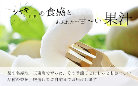 さかもと果樹園の玉東梨 秋麗梨 約5kg (6玉-18玉前後) 《8月中旬-8月下旬頃出荷》【日付指定・品種指定不可】 熊本県玉名郡玉東町 ｜なし フルーツ ナシ 果物 熊本県梨 玉東町梨