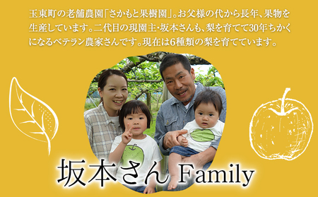 さかもと果樹園の玉東梨 甘太梨 約5kg (6玉-18玉前後) 《9月中旬-9月下旬頃出荷》【日付指定・品種指定不可】 熊本県玉名郡玉東町 ｜なし フルーツ ナシ 果物 熊本県梨 玉東町梨