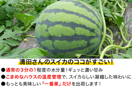 すいか 熊本 6-7kg 1玉 『清田健一郎さん』 フルーツ | すいか