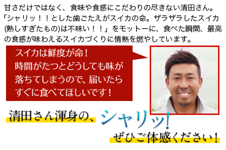 すいか 熊本 6-7kg 1玉 『清田健一郎さん』 フルーツ | すいか