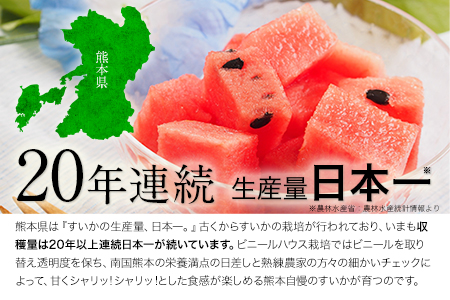 『清晃アグリ』のすいか 1玉約6～7kg 熊本県玉名郡玉東町『清晃アグリ』すいか フルーツ 果物 熊本県産《4月下旬-5月下旬頃出荷》｜人気スイカ ブランドスイカ 特産スイカ 熊本県スイカ 玉東町スイカ 大人気返礼品