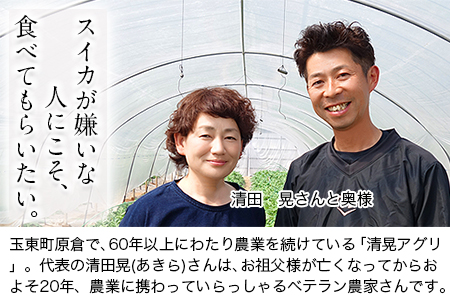 『清晃アグリ』のすいか 1玉約6～7kg 熊本県玉名郡玉東町『清晃アグリ』すいか フルーツ 果物 熊本県産《4月下旬-5月下旬頃出荷》｜人気スイカ ブランドスイカ 特産スイカ 熊本県スイカ 玉東町スイカ 大人気返礼品