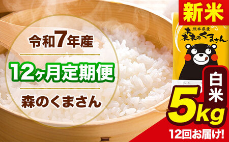 新米 令和7年産 森のくまさん【12ヶ月定期便】 白米 《お申込み翌月から出荷》5kg (5kg×1袋) 計12回お届け 熊本県産 単一原料米 森くま 熊本県 玉東町