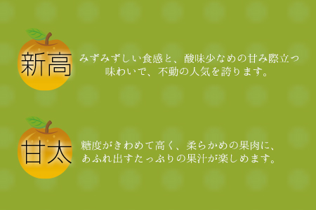さかもと果樹園の玉東梨 約5kg (6玉-18玉前後)《8月中旬-9月末頃出荷》【日付指定・品種指定不可】 ｜ブランド梨 人気梨 特産品梨 熊本県梨 玉東町梨 大人気返礼品