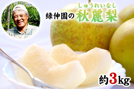 熊本県玉東町産『緑伸園』の秋麗梨 期間限定 たっぷり約3kg 5-9玉前後《8月上旬-8月下旬頃出荷》 なし 秋麗 果物 スイーツ フルーツ デザート スムージーにも ｜ブランド梨 人気梨 特産品梨 熊本県梨 玉東町梨 大人気返礼品