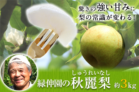 熊本県玉東町産『緑伸園』の秋麗梨 期間限定 たっぷり約3kg 5-9玉前後《8月上旬-8月下旬頃出荷》 なし 秋麗 果物 スイーツ フルーツ デザート スムージーにも ｜ブランド梨 人気梨 特産品梨 熊本県梨 玉東町梨 大人気返礼品