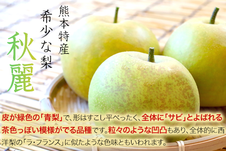 熊本県玉東町産『緑伸園』の秋麗梨 期間限定 たっぷり約3kg 5-9玉前後《8月上旬-8月下旬頃出荷》 なし 秋麗 果物 スイーツ フルーツ デザート スムージーにも ｜ブランド梨 人気梨 特産品梨 熊本県梨 玉東町梨 大人気返礼品