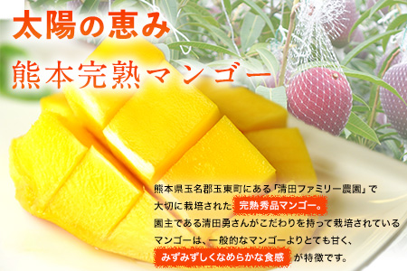 くまもと完熟マンゴー 2～3玉『清田ファミリー農園』熊本【日付指定不可】