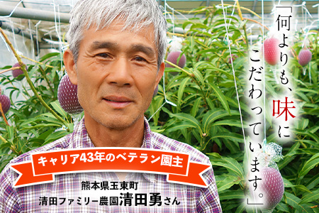 くまもと完熟マンゴー 2～3玉『清田ファミリー農園』熊本【日付指定不可】