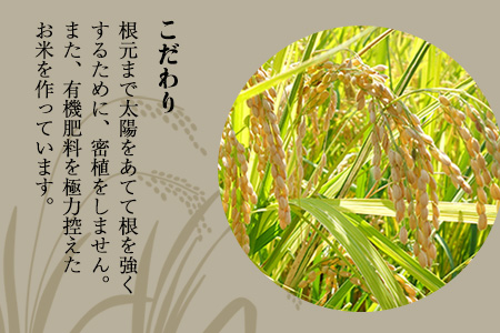 【令和6年産】『児玉農園』 にこまる10kg 5kg×2袋《30日以内に出荷予定(土日祝除く)》｜人気米 熊本県産米 お米 生活応援米