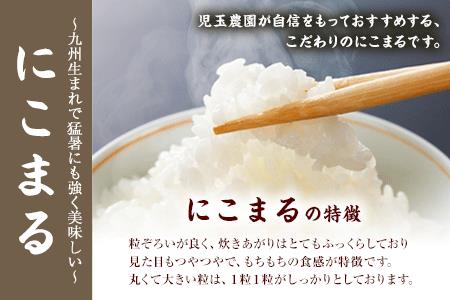 【令和6年産】『児玉農園』 にこまる10kg 5kg×2袋《30日以内に出荷予定(土日祝除く)》｜人気米 熊本県産米 お米 生活応援米