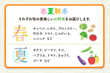 12ヶ月定期便】 季節の野菜詰め合わせセット 8～10品目 《お申込み月の