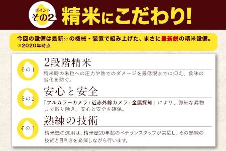 令和6年産 特A受賞品種 無洗米 ひのひかり 森のくまさん 計20kg 食べ比べ 厳選お楽しみセット 熊本県産 各5kg×2袋 計4袋《1月中旬-1月末頃出荷予定》ブランド米｜人気米 熊本県産米 生活応援米