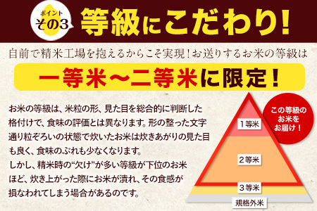 令和6年産 特A受賞品種 無洗米 ひのひかり 森のくまさん 計20kg 食べ比べ 厳選お楽しみセット 熊本県産 各5kg×2袋 計4袋《1月中旬-1月末頃出荷予定》ブランド米｜人気米 熊本県産米 生活応援米