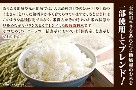 ふるさと納税 熊本県産 さとほまれ 無洗米 ご家庭用 定期便 10kg 《申込み翌月から発送》熊本県 玉名郡 玉東町 米 こめ コメ ブ.. 熊本県玉東町 ふるさと納税熊本県産 さとほまれ 無洗米 ご家庭用 選べる 5kg 10kg