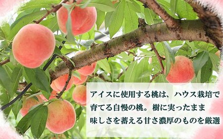 温室桃たっぷりのアイス&シャーベット10個 