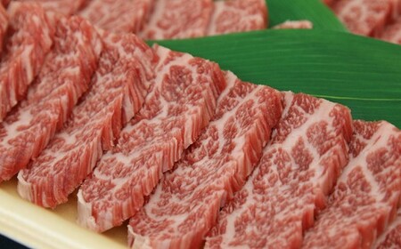 南関産牛のステーキ＆焼肉セット 計900g