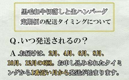 【年6回発送】総合計14.4㎏！自慢の黒毛和牛切落しと手作り生ハンバーグ定期便