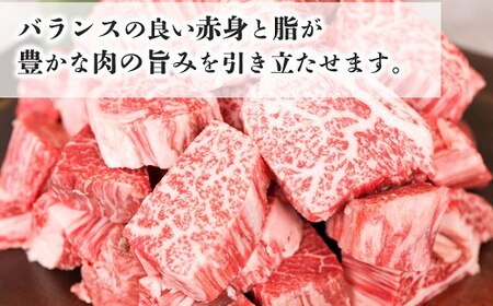 黒毛和牛 ヒレサイコロステーキ 600g(特製和風ソース付き)