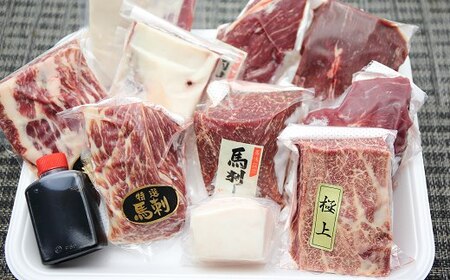 【熊本名物】自家牧場産 馬刺しフルコース食べ比べセット 赤身 240g フタエゴ240g 上赤身240g 特選霜降240g 極上霜降120g たてがみ50g(専用醤油付き)