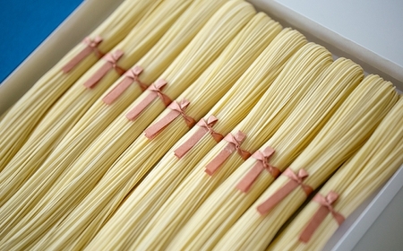 片山製麺 南関そうめん 10束入り