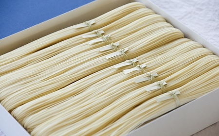 田中製麺南関素麺 20束入り