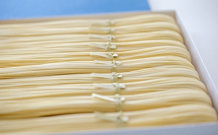 田中製麺南関素麺 10束入り