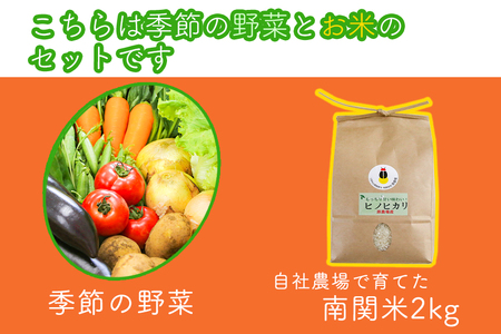 【お試し単品】いちど食べてみて「畑の天使」野菜《お米2kg入り》おまかせ 詰め合わせ 旬 野菜セット 新鮮 こだわり 朝採れ 採れたて フレッシュ サラダ 料理 人気 おすすめ 産地直送 熊本県 南関町