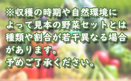 【お試し単品】いちど食べてみて「畑の天使」野菜《お米2kg入り》おまかせ 詰め合わせ 旬 野菜セット 新鮮 こだわり 朝採れ 採れたて フレッシュ サラダ 料理 人気 おすすめ 産地直送 熊本県 南関町