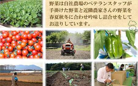 【お試し単品】いちど食べてみて「畑の天使」野菜《お米2kg入り》おまかせ 詰め合わせ 旬 野菜セット 新鮮 こだわり 朝採れ 採れたて フレッシュ サラダ 料理 人気 おすすめ 産地直送 熊本県 南関町