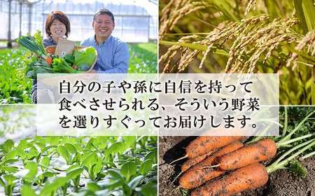【お試し単品】いちど食べてみて「畑の天使」野菜《お米2kg入り》おまかせ 詰め合わせ 旬 野菜セット 新鮮 こだわり 朝採れ 採れたて フレッシュ サラダ 料理 人気 おすすめ 産地直送 熊本県 南関町