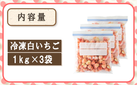 【数量限定】農家直送 南関町産 冷凍白いちご(品種淡雪) 3Kg 訳あり 数量限定 淡雪 加工用 産地直送 冷凍 スムージーやジャムにも便利