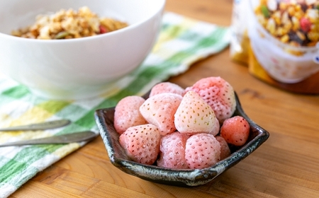 【数量限定】農家直送 南関町産 冷凍白いちご(品種淡雪) 3Kg 訳あり 数量限定 淡雪 加工用 産地直送 冷凍 スムージーやジャムにも便利