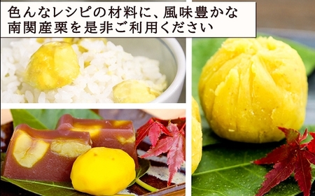 南関産 冷凍むき栗 600g (300g×2袋)  令和7年産 マロン 季節 手仕上げ 秋の味覚 材料 菓子 国産 熊本県 無添加 冷凍