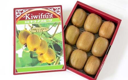 火の国ジャンボキウイ 9玉【大玉・完熟】 嬉しい大きさ