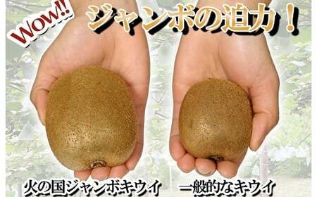 火の国ジャンボキウイ 9玉【大玉・完熟】 嬉しい大きさ