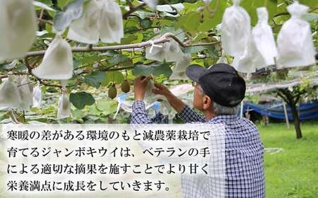 火の国ジャンボキウイ 9玉【大玉・完熟】 嬉しい大きさ