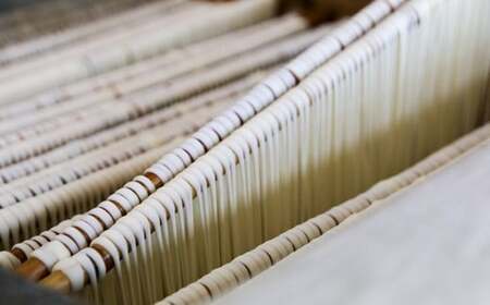 雪の糸素麺 猿渡製麺所 南関素麺 10束入り