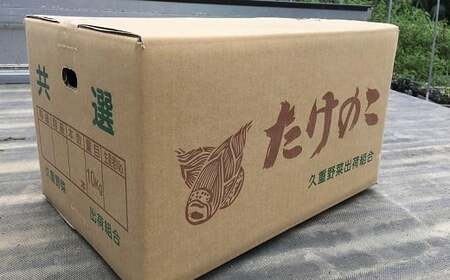 【先行受付】農家厳選「朝堀たけのこ」 4kg予約 4月中旬発送 熊本県 南関町産 春 筍