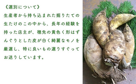 【先行受付】特選 生たけのこ 2kg予約 3月中旬発送 熊本県 南関町産 春 筍